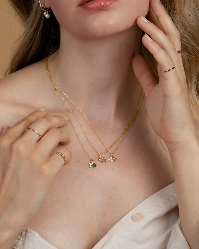 Necklaces ERIJEWELRY Initial A with Birthstone Necklace