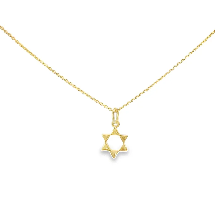 Necklaces YaninaCo Jewelry Elegant Star of David Charm Necklace